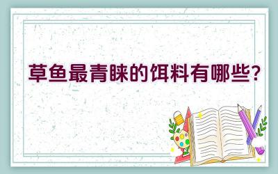 草鱼最青睐的饵料有哪些？插图