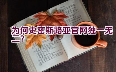 为何史密斯路亚官网独一无二？插图