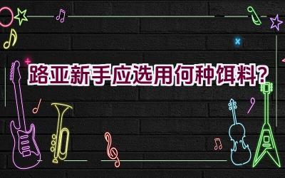 路亚新手应选用何种饵料？插图