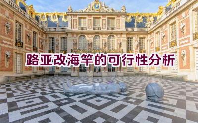 路亚改海竿的可行性分析插图