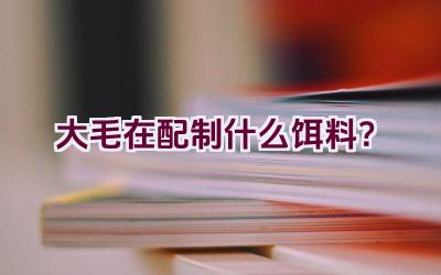 大毛在配制什么饵料？插图