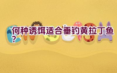 何种诱饵适合垂钓黄拉丁鱼？插图