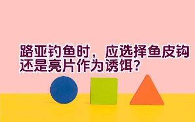 路亚钓鱼时，应选择鱼皮钩还是亮片作为诱饵？插图