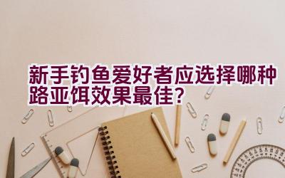 新手钓鱼爱好者应选择哪种路亚饵效果最佳？插图