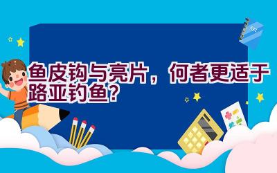 鱼皮钩与亮片，何者更适于路亚钓鱼？插图