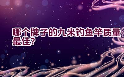 哪个牌子的九米钓鱼竿质量最佳？插图