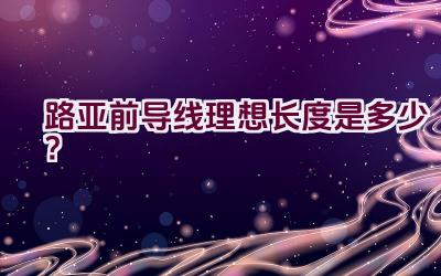 路亚前导线理想长度是多少？插图
