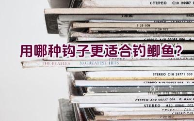 用哪种钩子更适合钓鲫鱼？插图