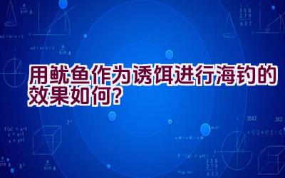 用鱿鱼作为诱饵进行海钓的效果如何？插图