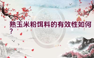 熟玉米粉饵料的有效性如何？插图