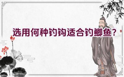 选用何种钓钩适合钓鲫鱼？插图