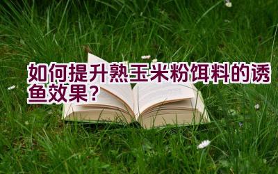 如何提升熟玉米粉饵料的诱鱼效果？插图