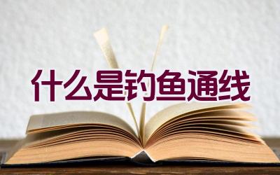 “什么是钓鱼通线”插图 “什么是钓鱼通线”插图