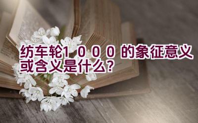 纺车轮1000的象征意义或含义是什么？插图