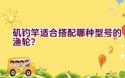 矶钓竿适合搭配哪种型号的渔轮？插图