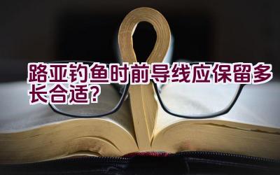 路亚钓鱼时前导线应保留多长合适？插图