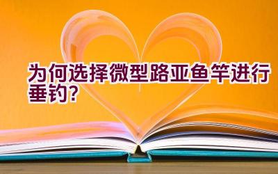 为何选择微型路亚鱼竿进行垂钓？插图