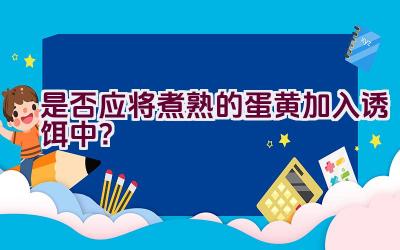 是否应将煮熟的蛋黄加入诱饵中？插图