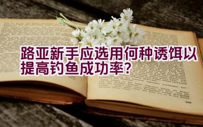 路亚新手应选用何种诱饵以提高钓鱼成功率？插图