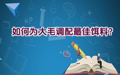 如何为大毛调配最佳饵料？插图