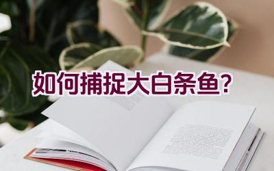 如何捕捉大白条鱼？插图