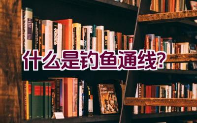什么是钓鱼通线？插图