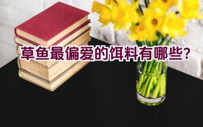 草鱼最偏爱的饵料有哪些？插图