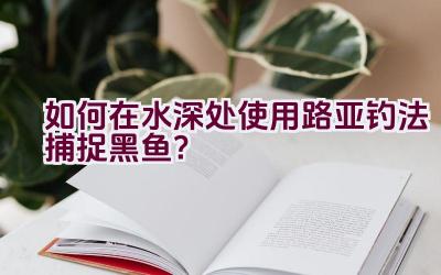如何在水深处使用路亚钓法捕捉黑鱼？插图