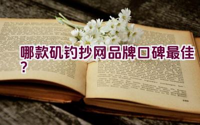 哪款矶钓抄网品牌口碑最佳？插图