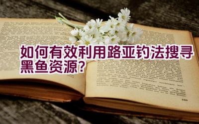 如何有效利用路亚钓法搜寻黑鱼资源？插图