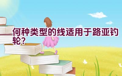 何种类型的线适用于路亚钓轮？插图