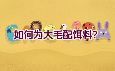 如何为大毛配饵料？插图