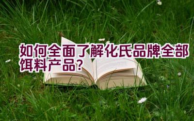 如何全面了解化氏品牌全部饵料产品？插图