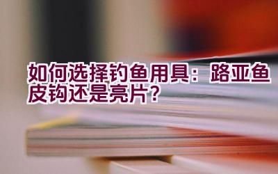 如何选择钓鱼用具：路亚鱼皮钩还是亮片？插图