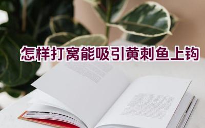 怎样打窝能吸引黄刺鱼上钩插图