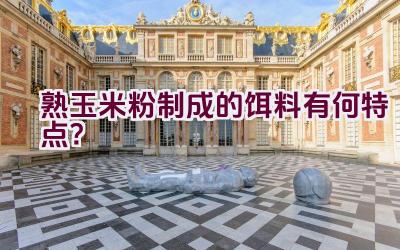 熟玉米粉制成的饵料有何特点？插图
