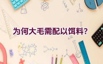 为何大毛需配以饵料？插图