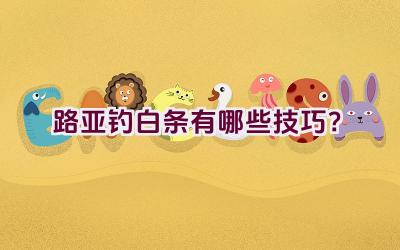 路亚钓白条有哪些技巧？插图