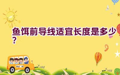 鱼饵前导线适宜长度是多少？插图