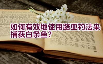 如何有效地使用路亚钓法来捕获白条鱼？插图