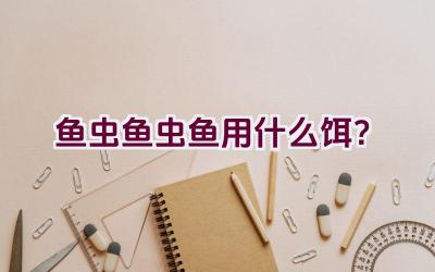 鱼虫鱼虫鱼用什么饵？插图