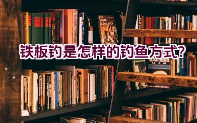 铁板钓是怎样的钓鱼方式？插图