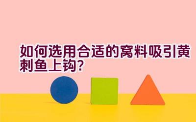 如何选用合适的窝料吸引黄刺鱼上钩？插图