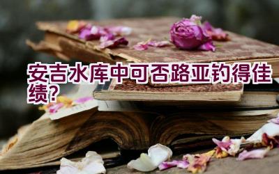 安吉水库中可否路亚钓得佳绩？插图