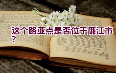 这个路亚点是否位于廉江市？插图