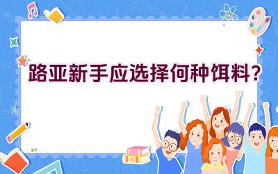路亚新手应选择何种饵料？插图