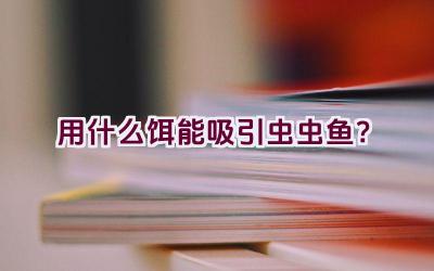 用什么饵能吸引虫虫鱼？插图