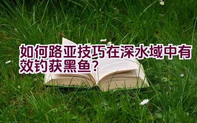 如何路亚技巧在深水域中有效钓获黑鱼？插图