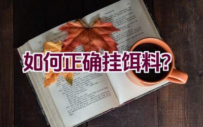 如何正确挂饵料？插图