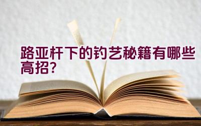 路亚杆下的钓艺秘籍有哪些高招？插图